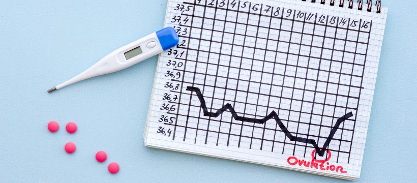 Calendar depicting ovulation for the post what are the signs of ovulation.